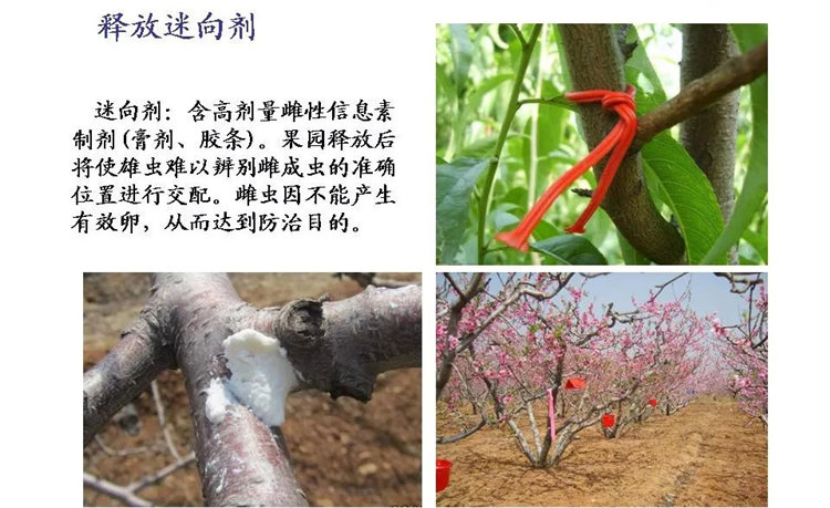 果樹病害防治技術