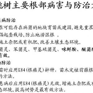 蘋果、桃、櫻桃主要病害防治技術