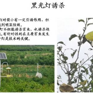 蘋果、桃、櫻桃主要病害防治技術