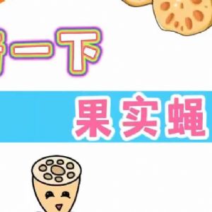 仕達(dá)農(nóng)業(yè)科技科普一下果實(shí)蠅